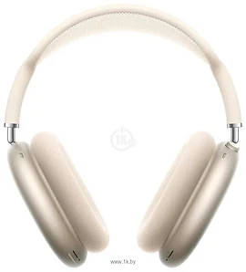 Apple AirPods Max (  USB Type-C,  )