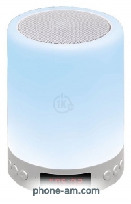 Ginzzu GM-893W