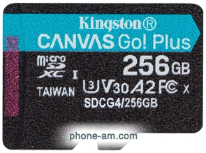 Kingston Canvas Go! microSDXC 256GB SDCG4/256GBSP
