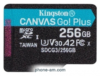 Kingston SDCG3/256GBSP