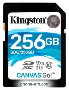 Kingston SDG/256GB