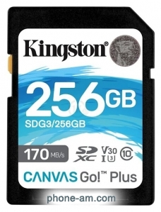 Kingston SDG3/256GB