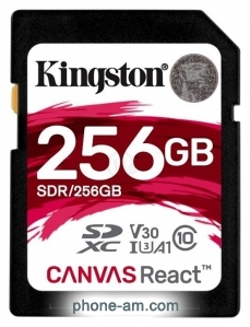 Kingston SDR/256GB