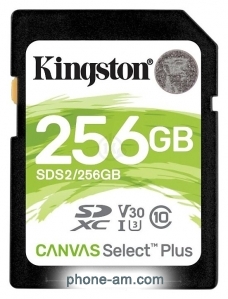 Kingston SDS2/256GB