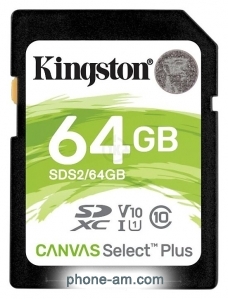 Kingston SDS2/64GB