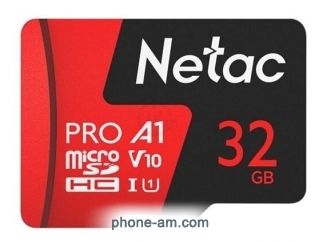 Netac NT02P500PRO-032G-S