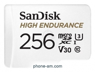 SanDisk SDSQQNR-256G-GN6IA