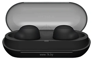 Sony WF-C500 ()