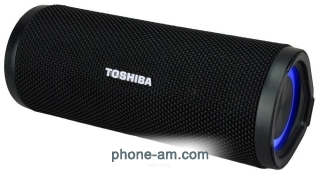 Toshiba TY-WSP102