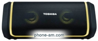 Toshiba TY-WSP150