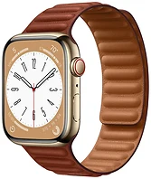 Apple Watch Series 8 LTE 45  (   ,  )