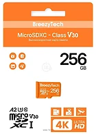 BreezyTech Ultra microSDXC Class 10/A2/V30 256GB ( )