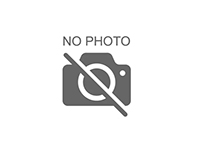 Kingston Canvas Go! Plus SDXC 128GB SDG4/128GB