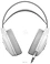 A4Tech Fstyler FH300U ()