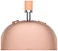 Apple AirPods Max (  USB Type-C, )
