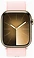 Apple Watch Series 9 45  ( ,  )