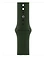 Apple Watch Series 6 GPS + Cellular 40mm Stainless Steel Case with Sport Band