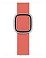 Apple Watch Series 6 GPS + Cellular 40mm Stainless Steel Case with Modern Buckle