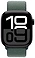 Apple Watch Series 10 42  ( ,  )