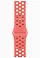 Apple Watch Series 9 45  ( ,  Nike)