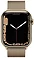 Apple Watch Series 7 LTE 45  (, )