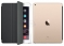 Apple iPad Air 2 128Gb Wi-Fi + Cellular