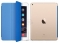 Apple iPad Air 2 64Gb Wi-Fi