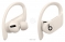 Beats Powerbeats Pro