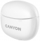 Canyon CNS-TWS5W