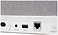 Denon Home 250