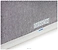 Denon Home 250
