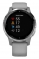 Garmin Vivoactive 4s