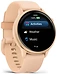 Garmin Vivoactive 6