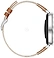 Huawei Watch GT 5 41mm ( )