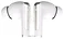 Infinix Buds NC XE28