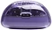 JBL Tune Flex 2 Ghost ()