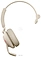Jabra Evolve2 65 UC Mono USB- (Link380c)