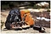 Philips TAS4807B/00