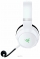 Razer Kaira Pro for Xbox