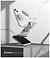 Ringke Fusion Magnetic iPhone 14 Plus Matte Clear