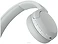 Sony WH-CH520 ()