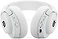 SteelSeries Arctis Nova 5X Wireless