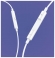Vipfan M14