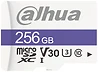 Dahua DHI-TF-C100/256GB