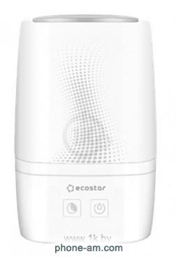 EcoStar Enjoy (ESH-EN250/2.0E)