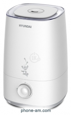 Hyundai Tulip HU8M
