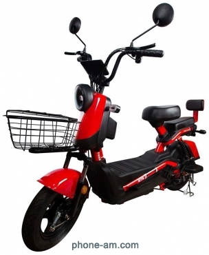 BNP Pixel BNP-339