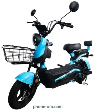 BNP Pixel BNP-377