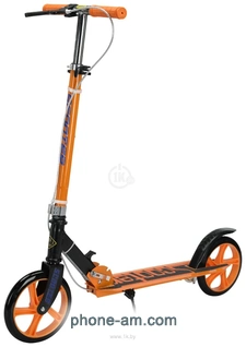Ricos Shine JSCM6698 ()