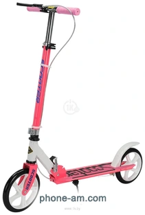 Ricos Shine JSCM6698 ()